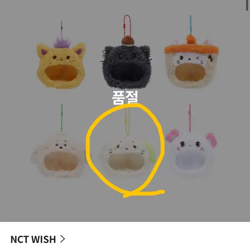 Nct wish Ryn Ryn bag full set wts | Bunjang Global