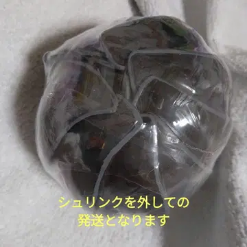 생물대도감 어드밴스 공벌레 블랙 피규어 반다이