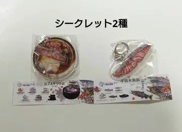 평면수족관 치토세수족관 시크릿 세트