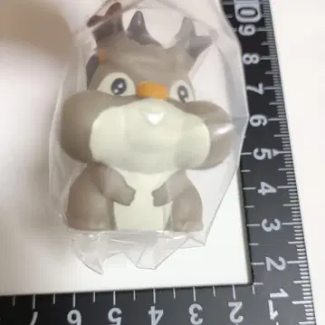 호시가리스 포켓몬 키즈