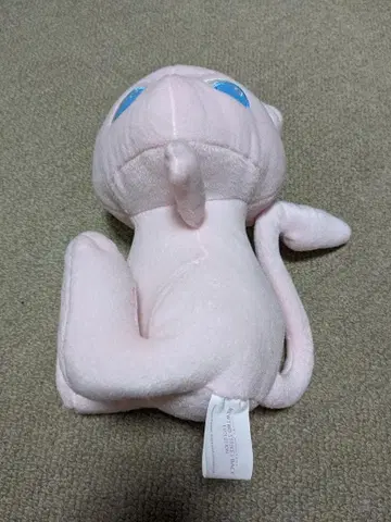 포켓몬 뮤 인형 뮤츠의 역습 EVOLUTION