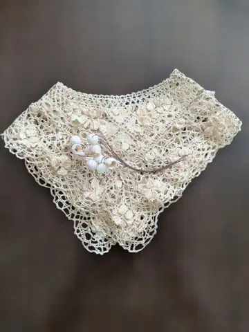 앤티크 몰티즈 레이스