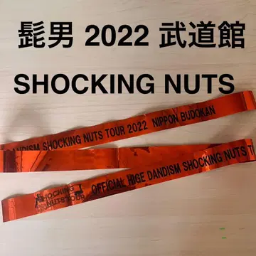 히게단 SHOCKING NUTS 투어 부도칸 테이프