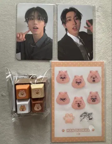 Stray Kids 스키즈 온라인 복권 한 트레이딩 카드 세트