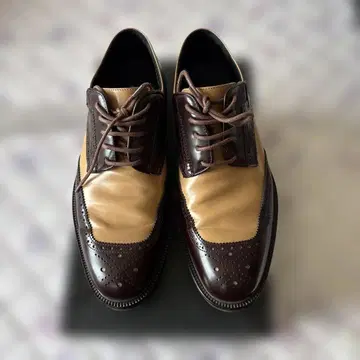 DRIES VAN NOTEN 윙 팁 슈즈