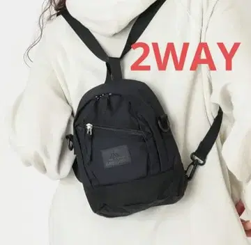 GREGORY 그레고리 2WAY MINI BACKPACK 미니 백팩