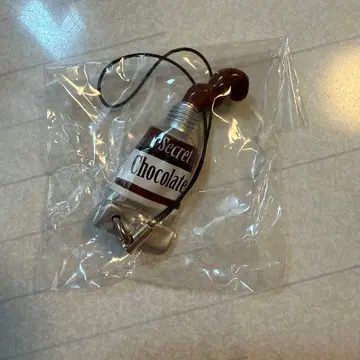 물감 스트랩 시크릿 초콜릿 색