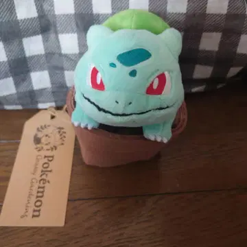 포켓몬 Grassy Gardening 이상해씨 봉제 인형