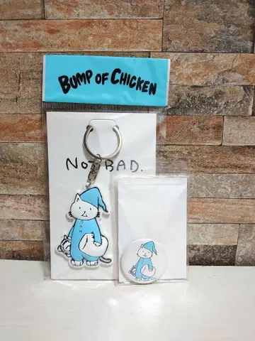 BUMP OF CHICKEN 니콜 키링&캔뱃지