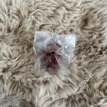 DAISUKE KONDO 메지루시 액세서리 곰