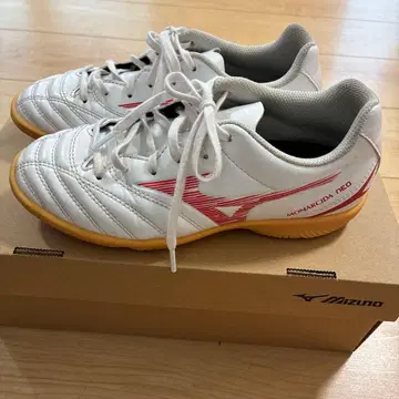 풋살화 미즈노 22cm