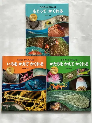 바다의 숨바꼭질 전 3권 세트 타케다 마사토모 감수 잠수해서 숨기 외