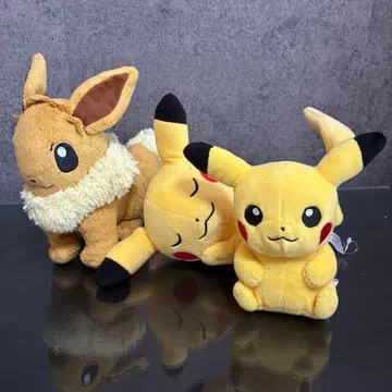 포켓몬 봉제 인형 피카츄 이브이 세트