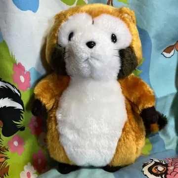 세키구치 레트로 아라이구마 라스칼 봉제 인형