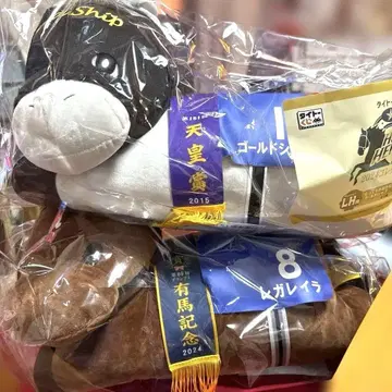 새상품 다이토 복권 A상 레가레이라 LH상 골드십 2종 세트