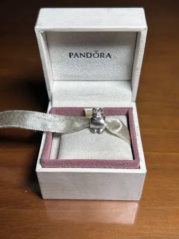 Pandora 판도라 애니멀 참 고양이
