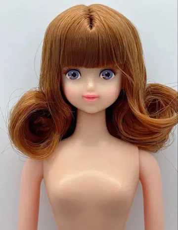 셰리 즐거운 인형 리카짱 캐슬 제니 프렌드