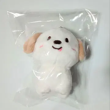 RIIZE 앤톤 몽룡이 공식 봉제 인형 키링 10cm