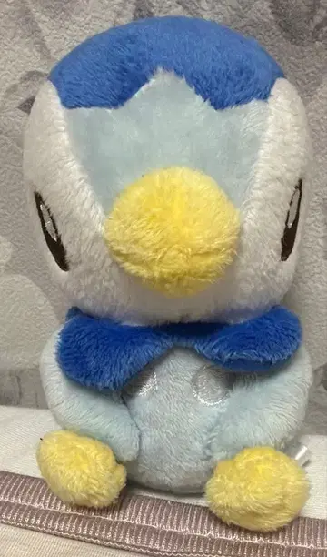 포켓몬 센터 포켓몬 캔버스 팽도리 봉제 인형