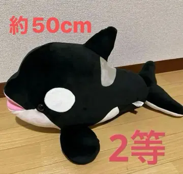 스마 씨 오르카 복권 2등 블랙
