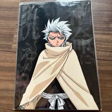 BLEACH 또 하나의 빙륜환 히츠가야 토시로 영화 특전
