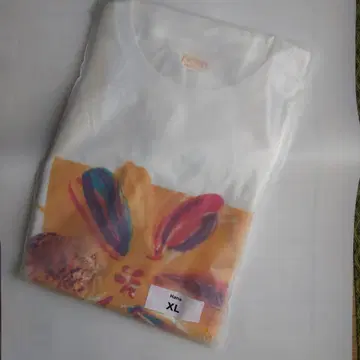 후지이 카제 XL 사이즈 Hana Tee 가격 인하했습니다.