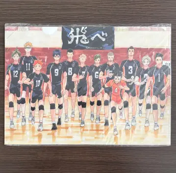 하이큐 전 FINAL 클리어 파일 플레이 스타일 세터 카라스노 고교