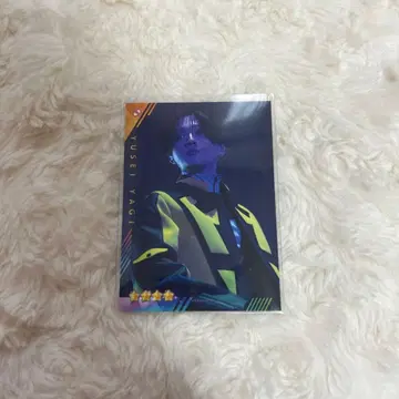야기 유세이 토라킨 리얼 카드