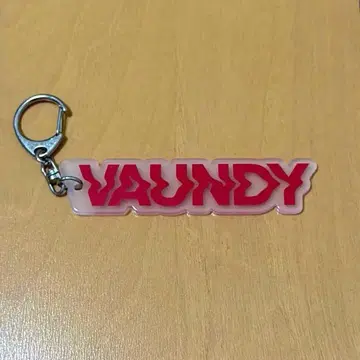 Vaundy 키링
