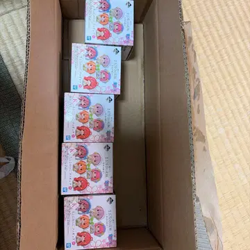 5등분의 신부 치코토 피규어 5개 세트