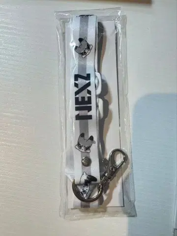 NEXZ 넥스트랩 LIVE TOUR 2026