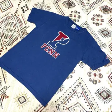 [ T1011 ] [ USA ] Champion PENN SYLVANIA