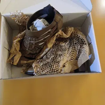 글래디에이터 샌들