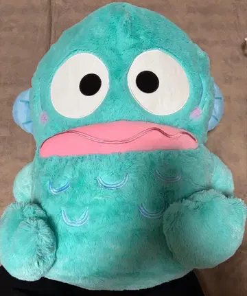 한교동 봉제 인형 본체