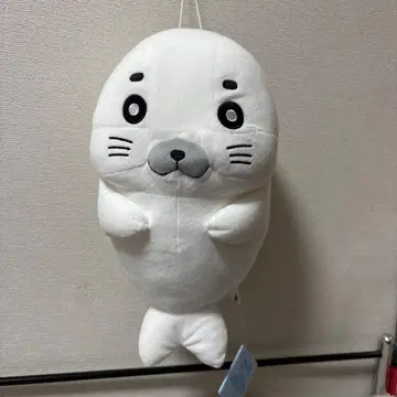 소년 아시베 빅 봉제 인형 두근두근 고마짱