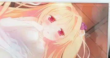 이로토리도리노 세카이 해피니스 아크릴 아트 니카이도 신쿠 A