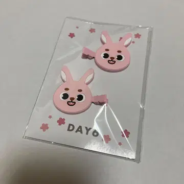 DAY6 원필 wonpil 헤어 클립 PIL hair clip