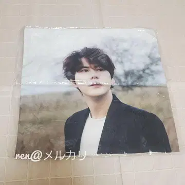 SUPER JUNIOR 규현 쿠션 커버 한국 공식