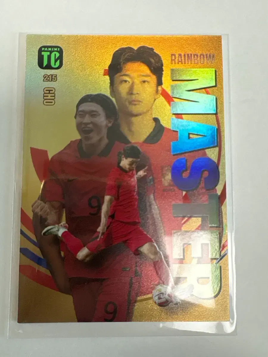 파니니 축구카드 조규성 Rainbow Master