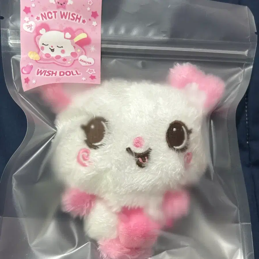 Nct wish 30cm giant wish doll Sakuya Pangyi wts | Bunjang Global