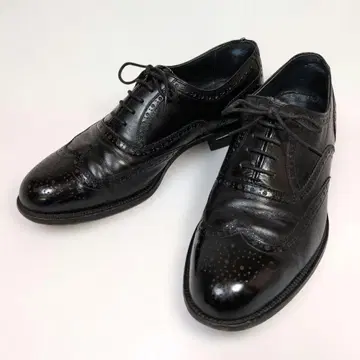 스코치 그레인 윙팁 풀브로그 블랙 25cm