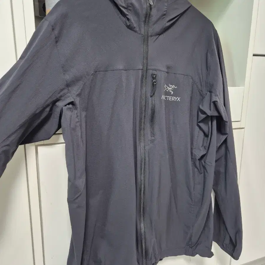 Arc'teryx x Beams Squamish Hoodie Nagomi | Bunjang Global