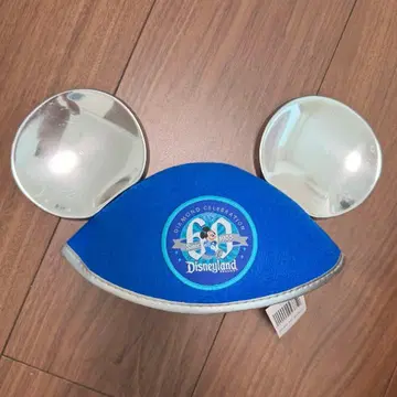 플로리다 디즈니 WDW 이어햇 60주년