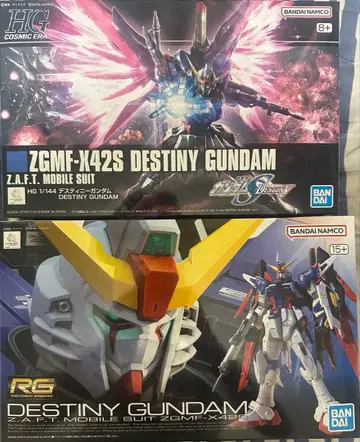 RG HG 1/144 ZGMF-X42S 데스티니 건담