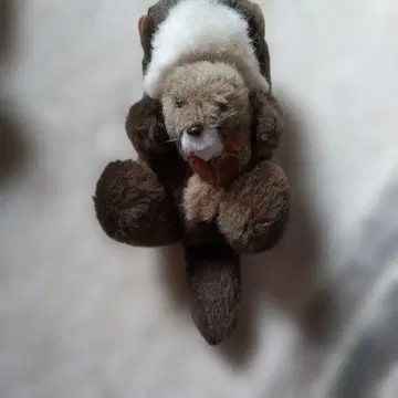랏코 봉제 인형 모자
