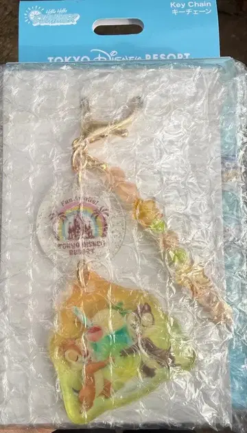 도쿄 디즈니 리조트 헬로 헬로 서머 칩과 데일 키체인