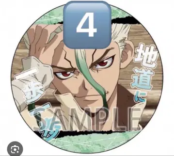 Dr.STONE 닥터스톤 애니메이트 포인트 경품 이시가미 센쿠 4점