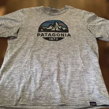 Patagonia DAILY TECH 티셔츠 그레이
