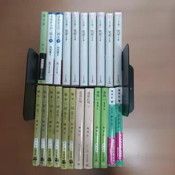 중국 역사 소설 전 22권 (삼국지, 무제, 칭기즈칸 외)