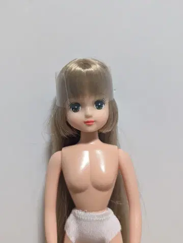 리카짱 캐슬 오타노시미 인형 리카짱 프렌드 아키짱